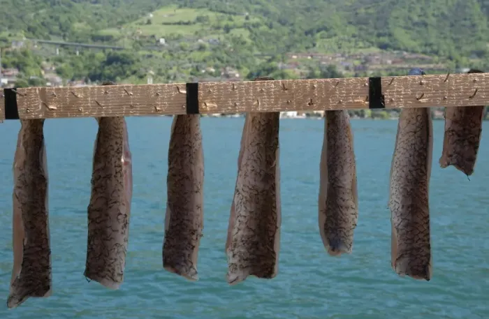 Framed Print : Drying freshwater fish, Monte Isola, Lago d Iseo, Lombardy, Italy, May Framed Print : Drying freshwater fish, Monte Isola, Lago d Iseo, Lombardy, Italy, May