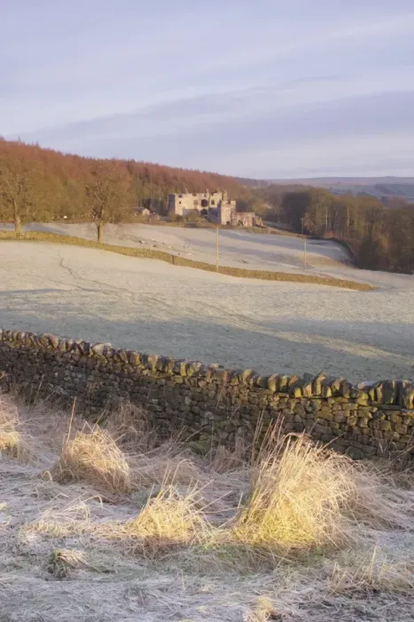 Framed Print : Drystone wall and frosted grasses, with remains of 15th Century hunting lodge in distance, Barden Tower, Barden Framed Print : Drystone wall and frosted grasses, with remains of 15th Century hunting lodge in distance, Barden Tower, Barden
