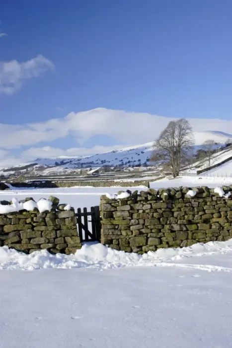 Framed Print : Drystone wall and gate in snow covered valley bottom, Gunnerside, Swaledale, Yorkshire Dales N. P