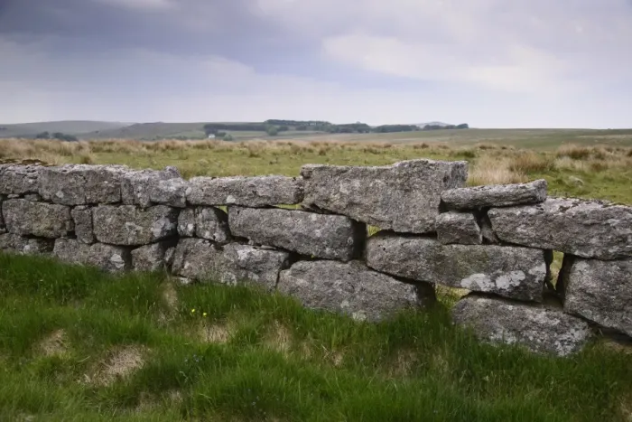 Framed Print : Drystone wall on moorland, Dartmoor, Devon, England, June Framed Print : Drystone wall on moorland, Dartmoor, Devon, England, June