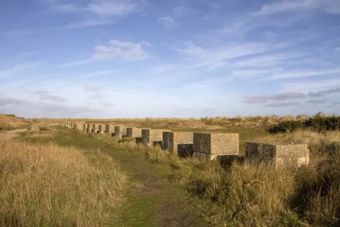 Framed Print : The dunes at Minsmere still have World War two anti Tank cubes Framed Print : The dunes at Minsmere still have World War two anti Tank cubes