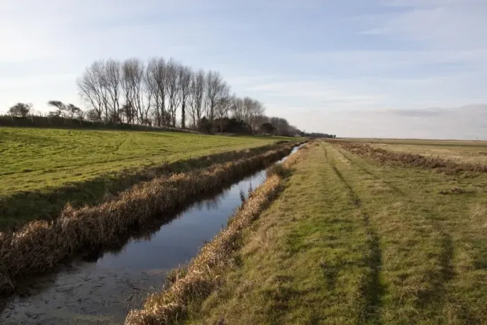 Framed Print : Dyke at Deepdale Marsh at Burnham Norton, Brancaster North Norfolk - Marsh land habitat used by winter wildfowl flocks
