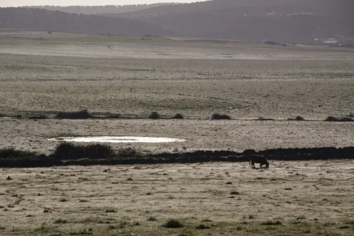 Framed Print : Early morning dew covers the fields of the Belen Plateau. Belen, Extremadura, Spain