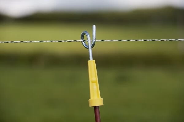 Electric fence set up along farm track to keep dairy cattle on, Scotland, June