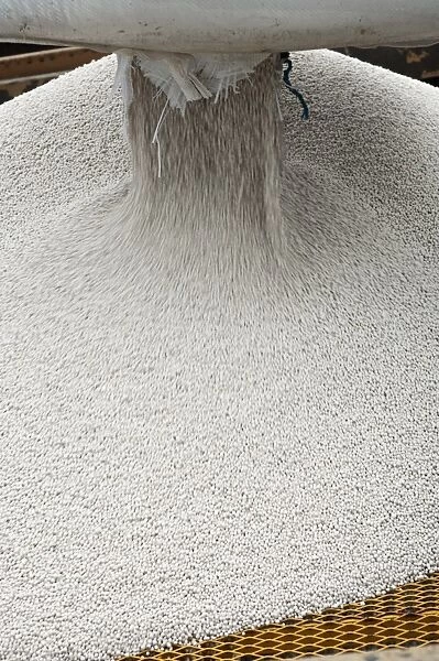 Emptying bag of nitrogen granular fertilizer granules into fertilizer spreader, Sweden, may