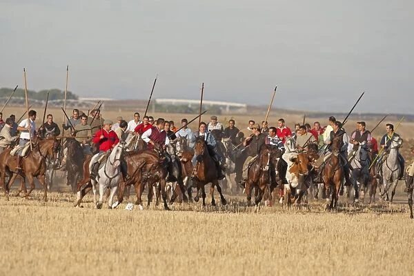 Encierro, men mounted on horses herding bulls, running from countryside to Medina del Campo, Valladolid, Castile-Leon