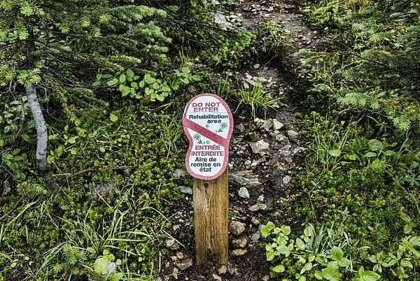 Do Not Enter, Rehabilitation area bilingual sign in coniferous forest, Mount Revelstoke N. P