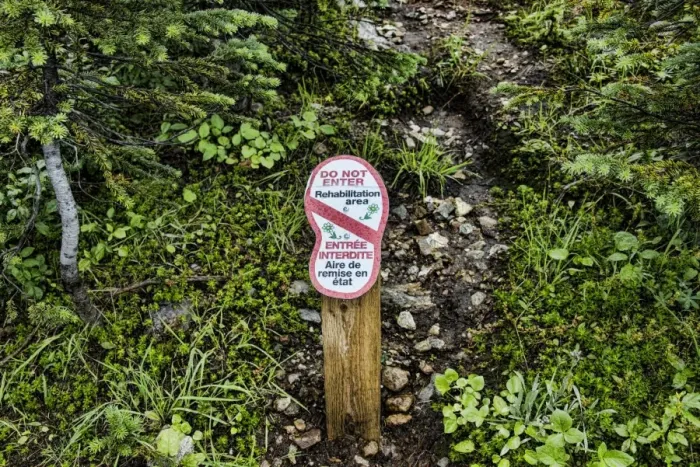Framed Print : Do Not Enter, Rehabilitation area bilingual sign in coniferous forest, Mount Revelstoke N. P Framed Print : Do Not Enter, Rehabilitation area bilingual sign in coniferous forest, Mount Revelstoke N. P