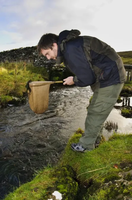 Framed Print : Entomologist surveying for invertebrates in river, above Catrigg Force, Stainforth Beck, Stainforth Framed Print : Entomologist surveying for invertebrates in river, above Catrigg Force, Stainforth Beck, Stainforth