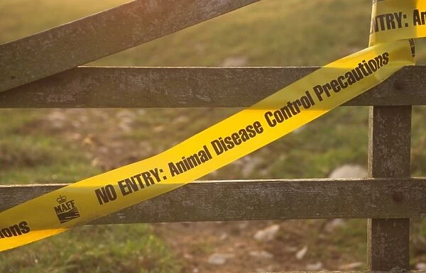 No Entry, Animal Disease Control Precautions tape, on farm gate in restricted disease area