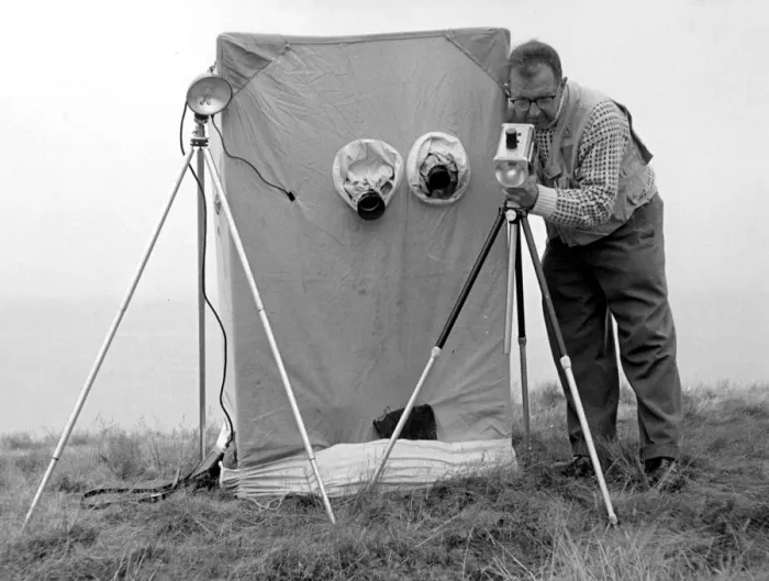 Framed Print : Eric Hosking adjusting electronic flash equipment by a bird hide - late 1950 s Framed Print : Eric Hosking adjusting electronic flash equipment by a bird hide - late 1950 s