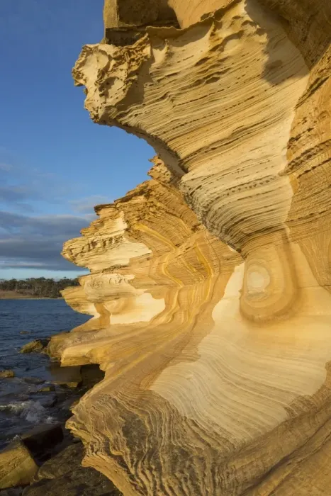 Framed Print : Eroded sandstone sea cliffs, Painted Cliffs, Maria Island N. P. Tasmania, Australia, February