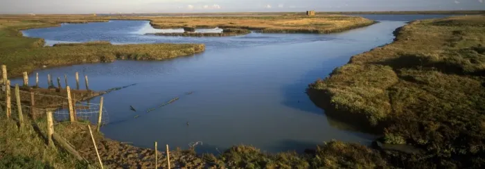 Framed Print : Estuaries-Salt Marsh Saltmarsh at Simpsons Saltings - Suffolk Wildlife Trust Framed Print : Estuaries-Salt Marsh Saltmarsh at Simpsons Saltings - Suffolk Wildlife Trust