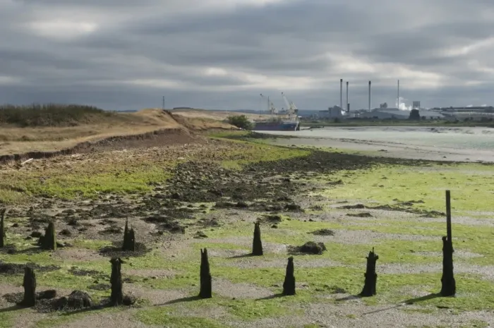 Framed Print : Estuary at low tide revealing mudflats and breakwaters, with paper mill in distance, Swale Estuary, Isle of Sheppey Framed Print : Estuary at low tide revealing mudflats and breakwaters, with paper mill in distance, Swale Estuary, Isle of Sheppey