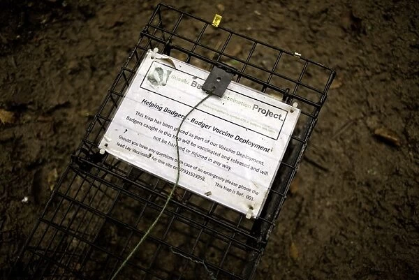 Eurasian Badger (Meles meles) bovine tuberculosis vaccination project, explanation placard on live trap at night
