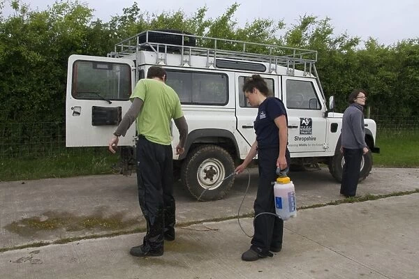 Eurasian Badger (Meles meles) bovine tuberculosis vaccination scheme, Wildlife Trust personnel being sprayed with
