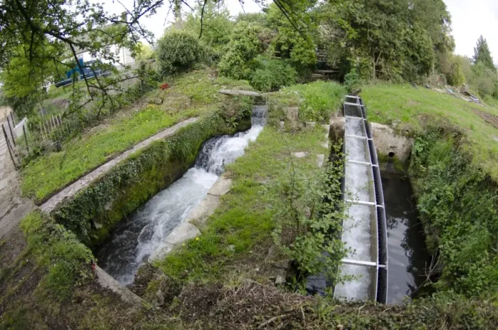 Framed Print : European Eel (Anguilla anguilla) eel pass and mill stream, Gloucestershire, England, April Framed Print : European Eel (Anguilla anguilla) eel pass and mill stream, Gloucestershire, England, April