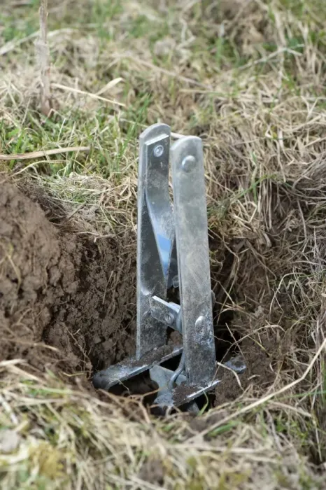 Framed Print : European Mole (Talpa europaea) nipper type trap, in set position, England, march Framed Print : European Mole (Talpa europaea) nipper type trap, in set position, England, march