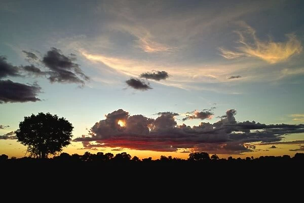 Evening sky in the Okavango Delta, the sun sets behind cumulus clouds with some cirrus clouds high in the sky