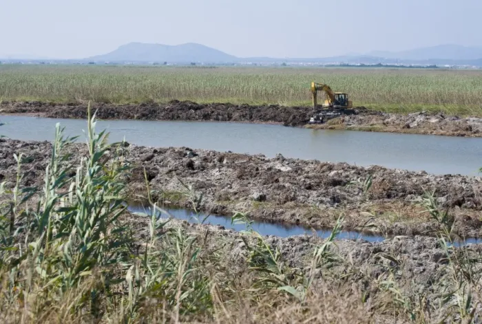 Framed Print : Excavator clearing canal in marshland habitat,s Albufera De Mallorca Natural Park, Muro and Sa Pobla, Majorca Framed Print : Excavator clearing canal in marshland habitat,s Albufera De Mallorca Natural Park, Muro and Sa Pobla, Majorca