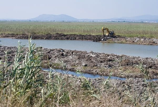 Excavator clearing canal in marshland habitat,s Albufera De Mallorca Natural Park, Muro and Sa Pobla, Majorca
