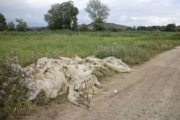 Farm rubbish, plastic cover crop waste, left at field edge