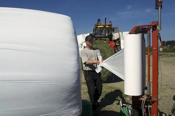 Farmer plastic wrapping round silage bales with mechanical bale-wrapper, Sweden