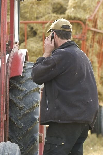Farmer talking on mobile phone, standing beside tractor and trailer with straw bales, Sweden
