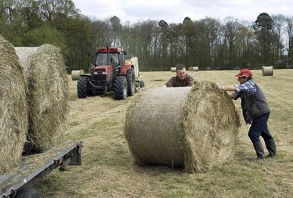Farmers baling and loading round bales of hay, Holmes Chapel, Cheshire, England