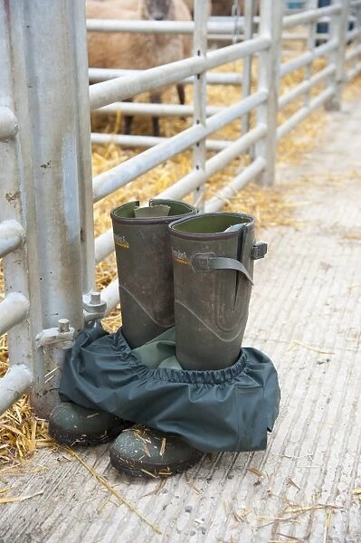 Farmers wellington boots and waterproof trousers outside pens at livestock market, Welshpool Livestock Market, Powys