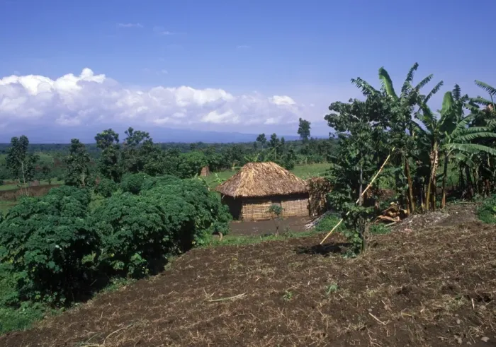 Framed Print : Farmland and farmers hut bordering the parc des virunga, Congo Framed Print : Farmland and farmers hut bordering the parc des virunga, Congo