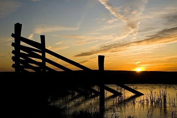 Fencing silhouetted in marshland habitat at sunrise, Elmley National Nature Reserve, North Kent Marshes