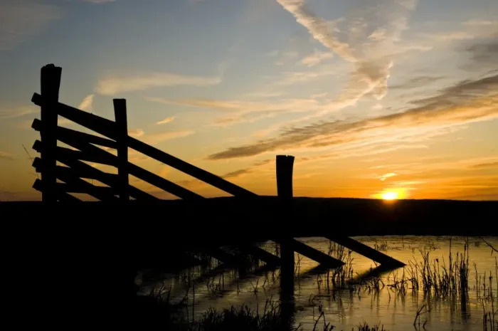 Framed Print : Fencing silhouetted in marshland habitat at sunrise, Elmley National Nature Reserve, North Kent Marshes Framed Print : Fencing silhouetted in marshland habitat at sunrise, Elmley National Nature Reserve, North Kent Marshes