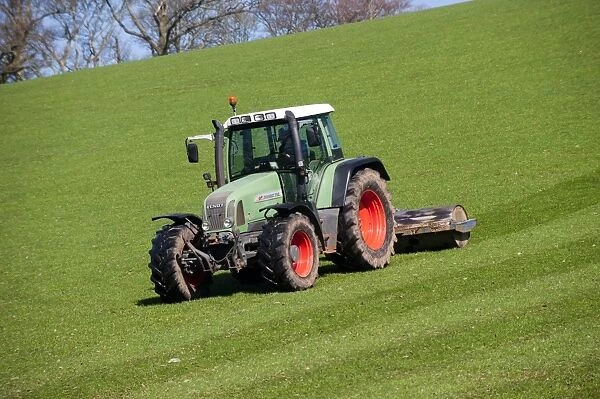 Fendt Favorit 716 tractor with rollers, rolling grassland pasture, England, april