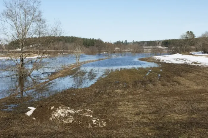 Framed Print : Field flooded from small river, Sweden, winter Framed Print : Field flooded from small river, Sweden, winter