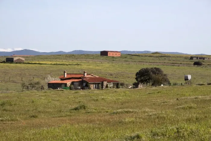 Framed Print : Fields around a small farm on the Belen Plateau, Extremadura, Spain. A well know habitat for the Great Bustard Framed Print : Fields around a small farm on the Belen Plateau, Extremadura, Spain. A well know habitat for the Great Bustard