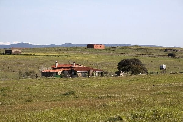 Fields around a small farm on the Belen Plateau, Extremadura, Spain. A well know habitat for the Great Bustard