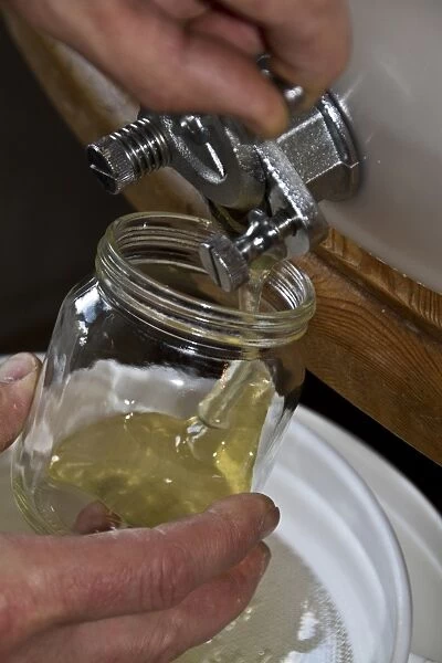 Filling a jar of honey from a storage drum. After the honey has been spun from the comb its filtered into the storage