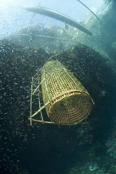 Fish basket being raised onto fishing boat, Crucifixion Point, Pantar Island, Alor Archipelago, Lesser Sunda Islands