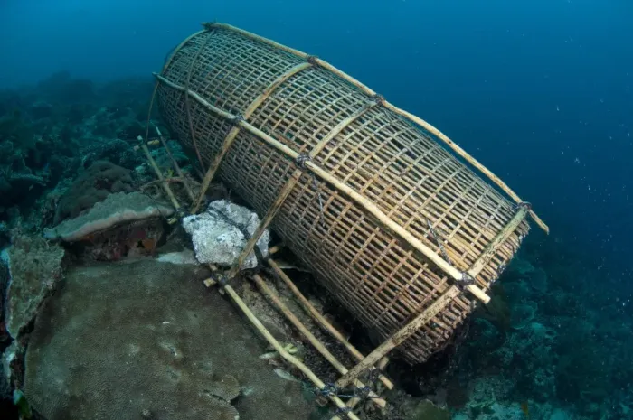 Framed Print : Fish trap on reef, Pantar Island, Alor Archipelago, Lesser Sunda Islands, Indonesia