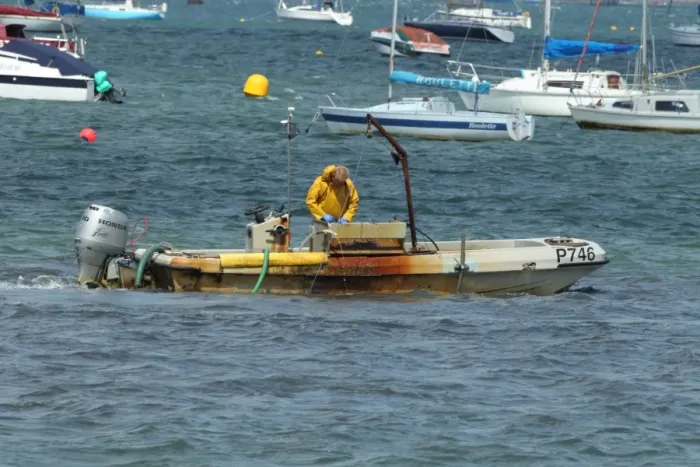 Framed Print : Fisherman fishing for clams, clamming boat with pump scoop dredge, Poole Harbour, Dorset, England, july Framed Print : Fisherman fishing for clams, clamming boat with pump scoop dredge, Poole Harbour, Dorset, England, july