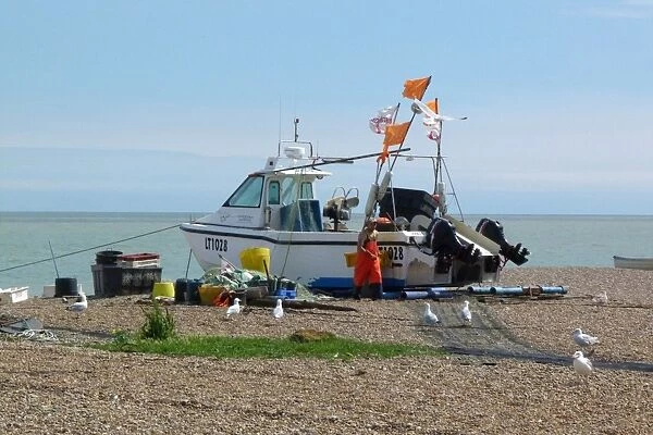 Fishing boat on Aldeburgh beach Suffolk. with Herring gulls