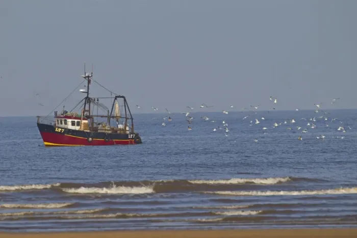 Framed Print : Fishing boat with beam trawls, followed by seagull flock at sea, Norfolk, England, November