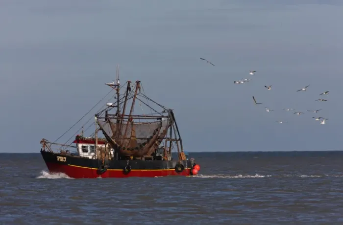 Framed Print : Fishing boat on calm sea, followed by seagull flock, Norfolk, England, october