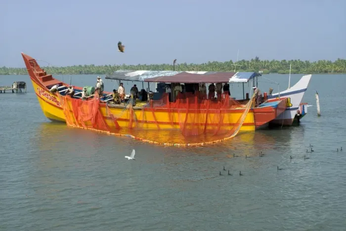 Framed Print : Fishing boat with fishermen rolling back nets in brackish lagoon after day fishing at sea, Kollam, Alleppey Backwaters Framed Print : Fishing boat with fishermen rolling back nets in brackish lagoon after day fishing at sea, Kollam, Alleppey Backwaters