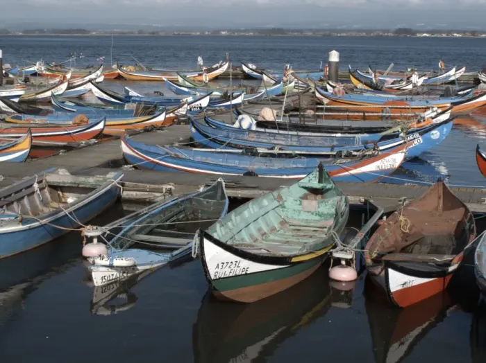 Framed Print : Fishing boats moored at harbour, near Muranzel, Aveiro, Portugal, march Framed Print : Fishing boats moored at harbour, near Muranzel, Aveiro, Portugal, march