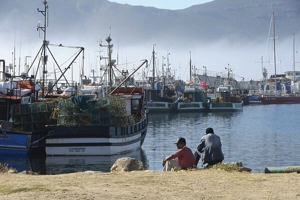 Fishing boats moored at harbour in sea mist, Hout Bay, Cape Town, Western Cape, South Africa