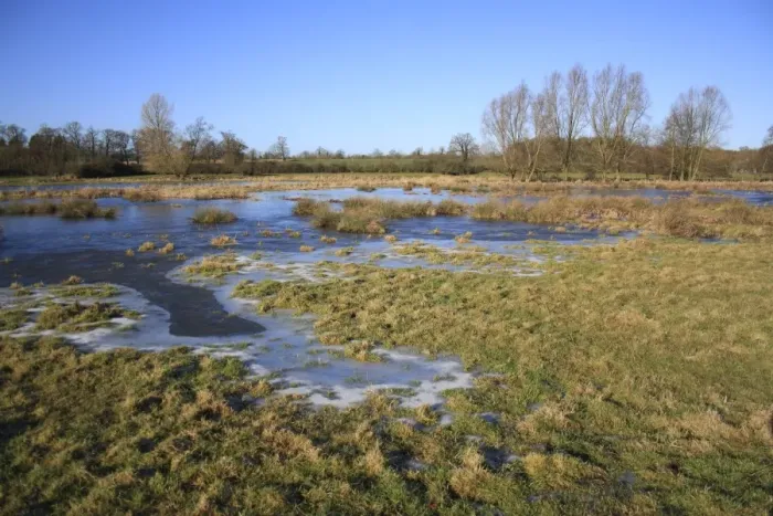 Framed Print : Flooded and frozen unimproved wet grazing meadow, River Dove, Thornham Magna, Suffolk, England, january