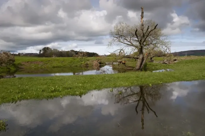 Framed Print : Flooded pasture on farmland at edge of river, Northumberland, England, May