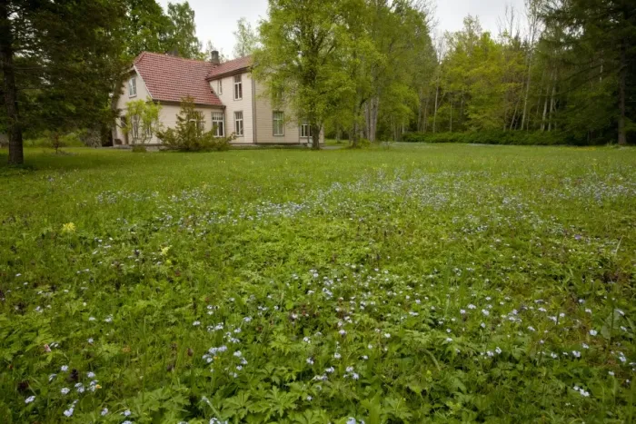 Framed Print : Flowery meadow habitat around old house, Viidumae N. P. Saaremaa Island, Estonia, may Framed Print : Flowery meadow habitat around old house, Viidumae N. P. Saaremaa Island, Estonia, may